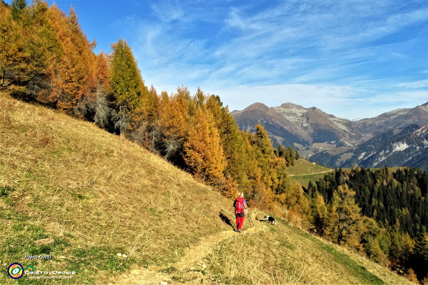 26 Sul sent. 117 dal Forcolino al Monte Colle larici in splendido look autunnale.JPG